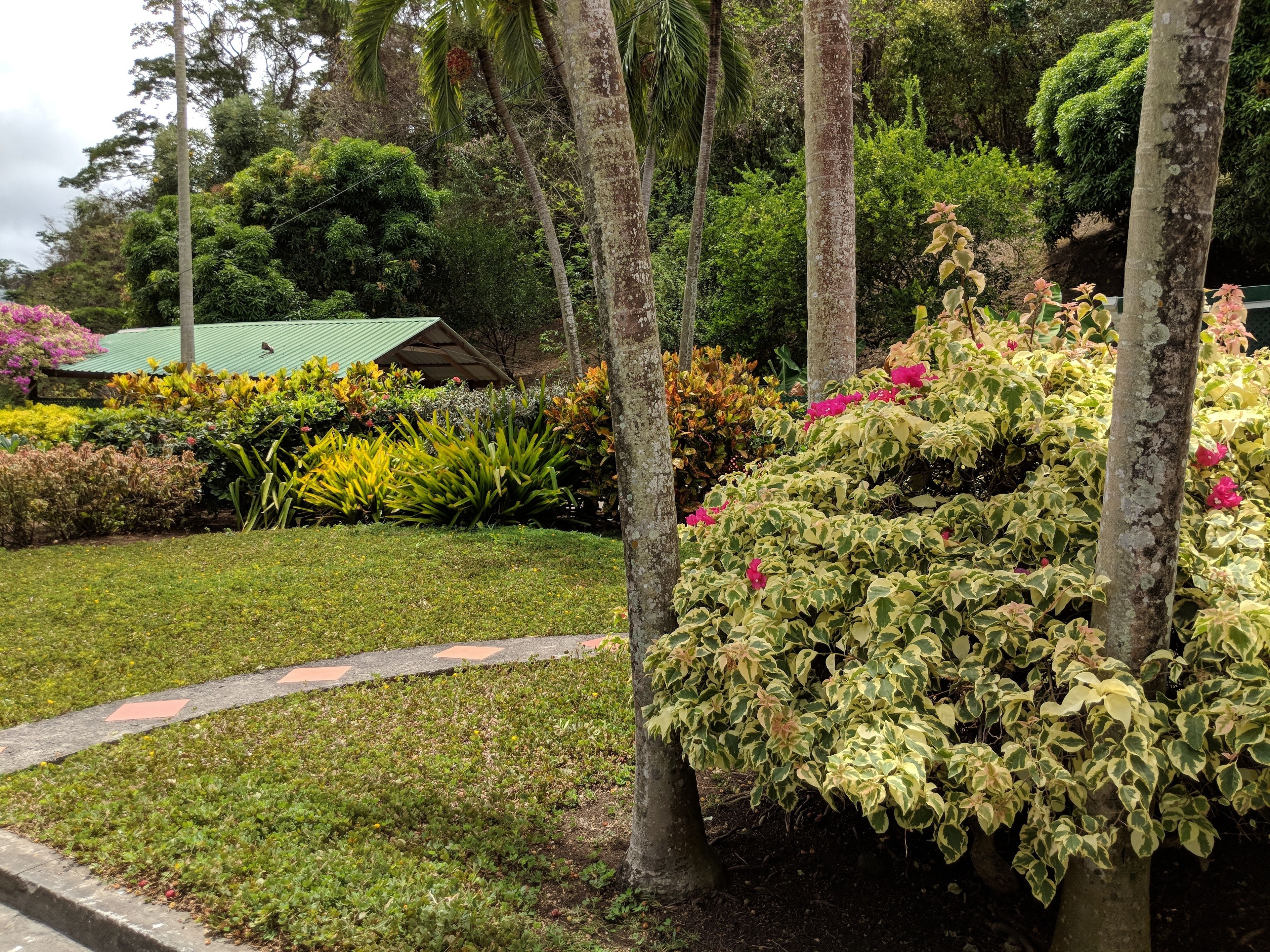 room, 1 king bed, garden view (manor) | garden view