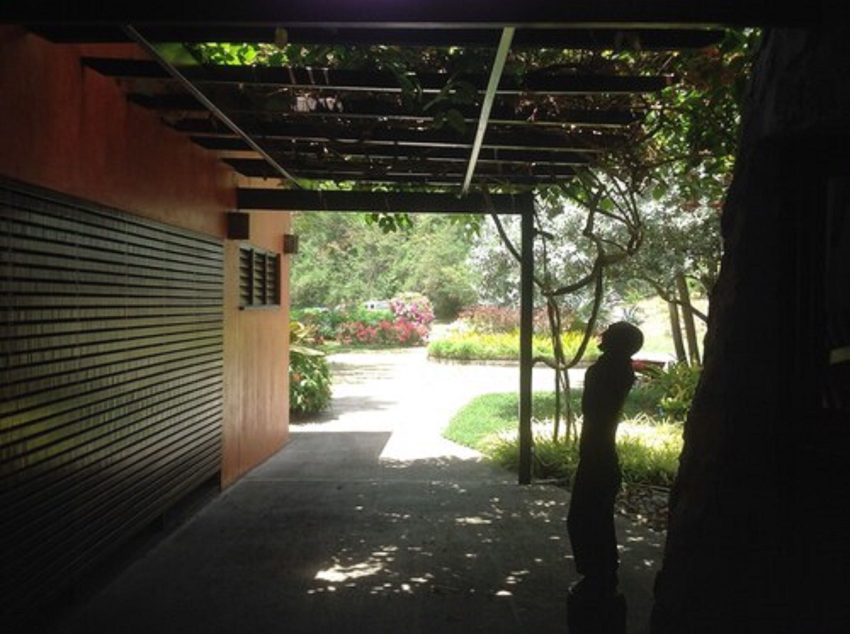 Un pasillo cubierto que conduce a un jardín con un cerramiento cerrado a la izquierda.