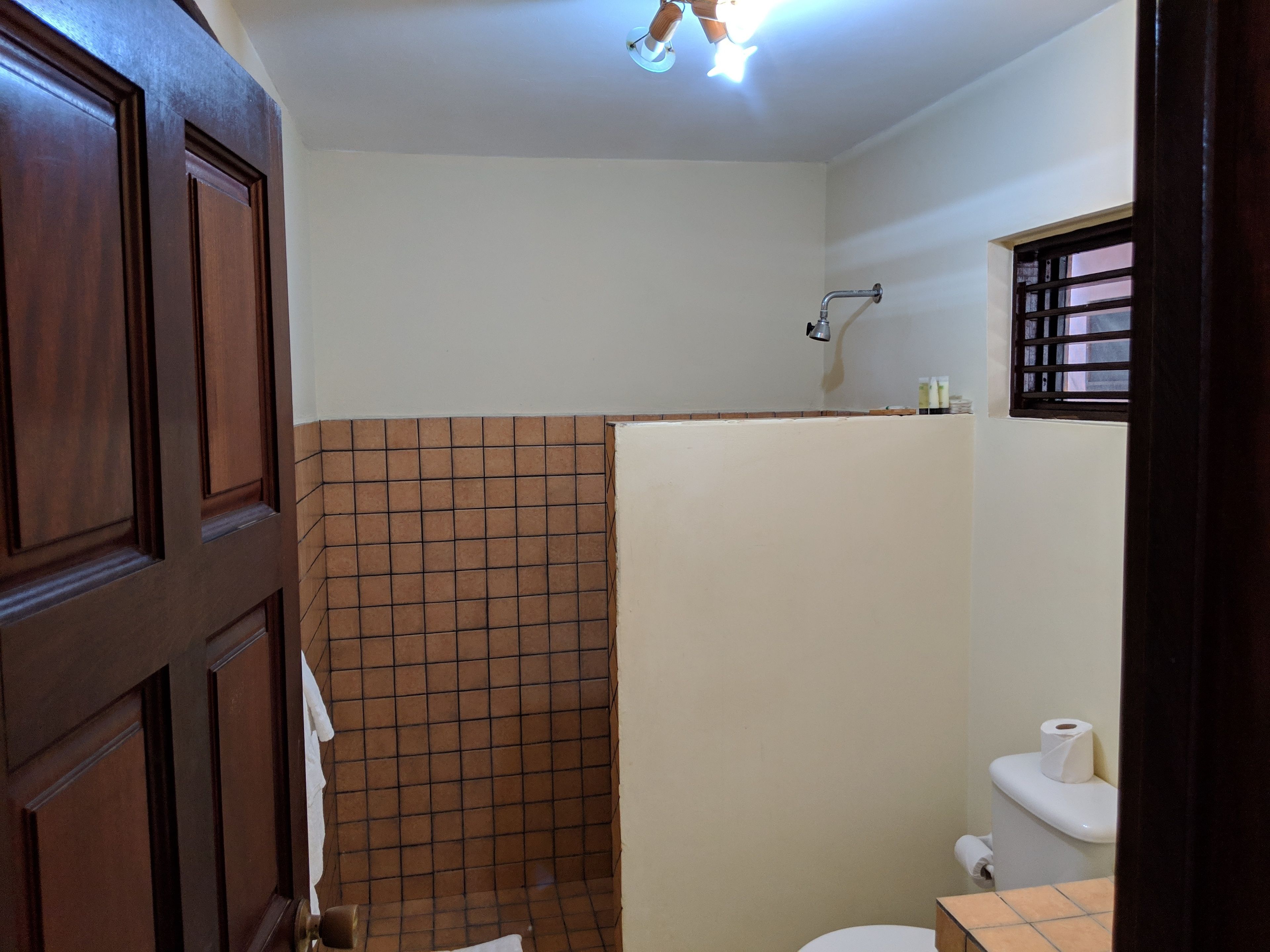 Un baño con ducha revestida con azulejos, inodoro y lavamanos.