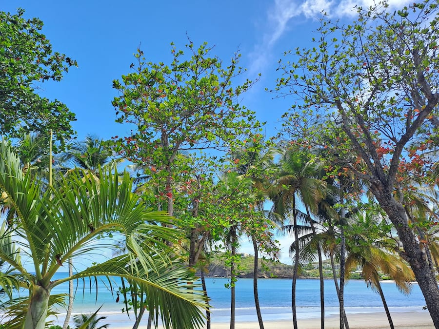 On the beach, white sand, kayaking