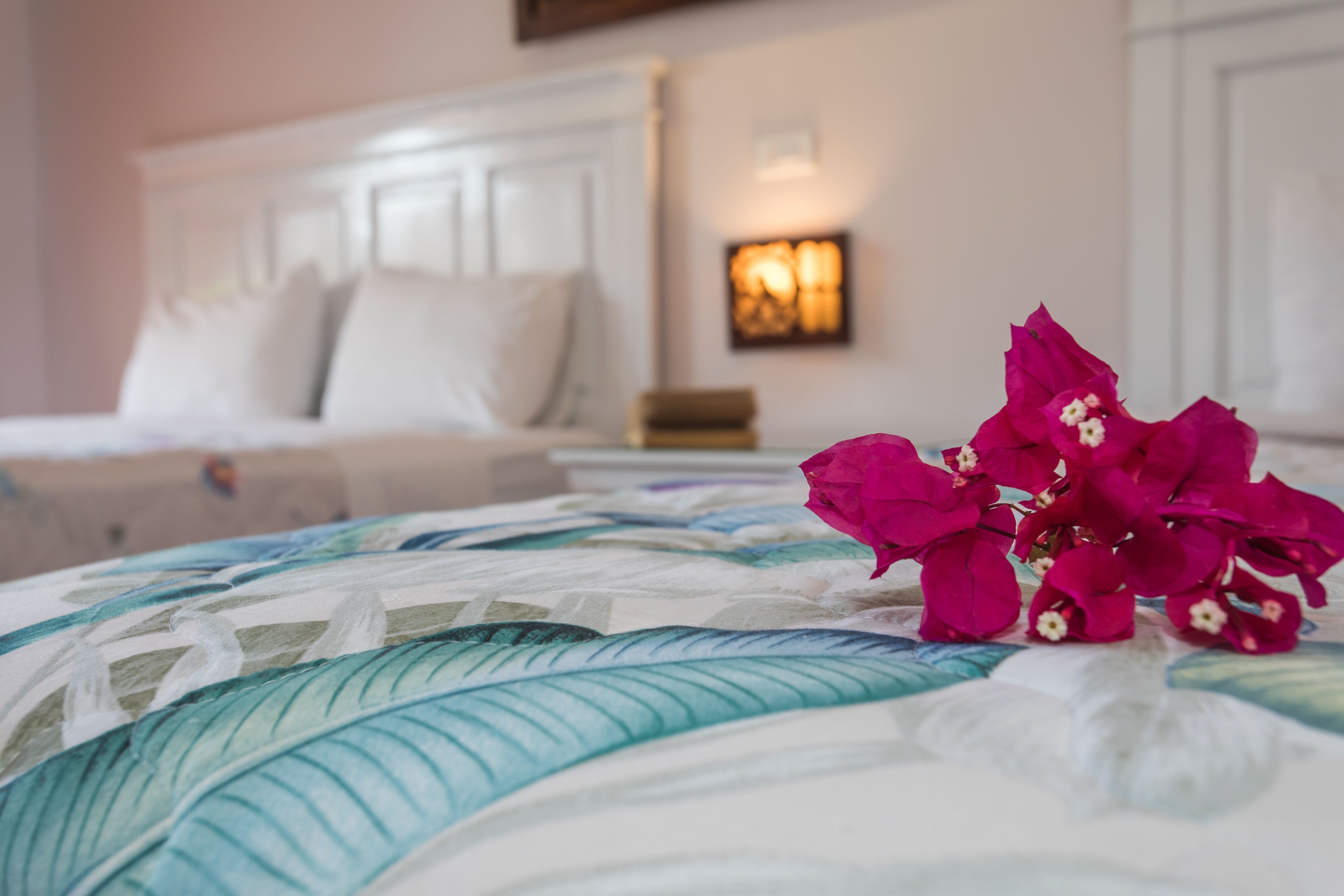 1 dormitorio y ropa de cama de alta calidad