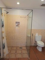 Un baño con ducha de vidrio, inodoro y un pequeño estante con artículos de aseo.