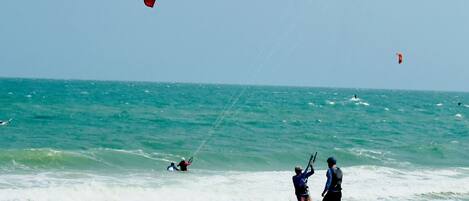 A beach with people engaging in kite surfing.
