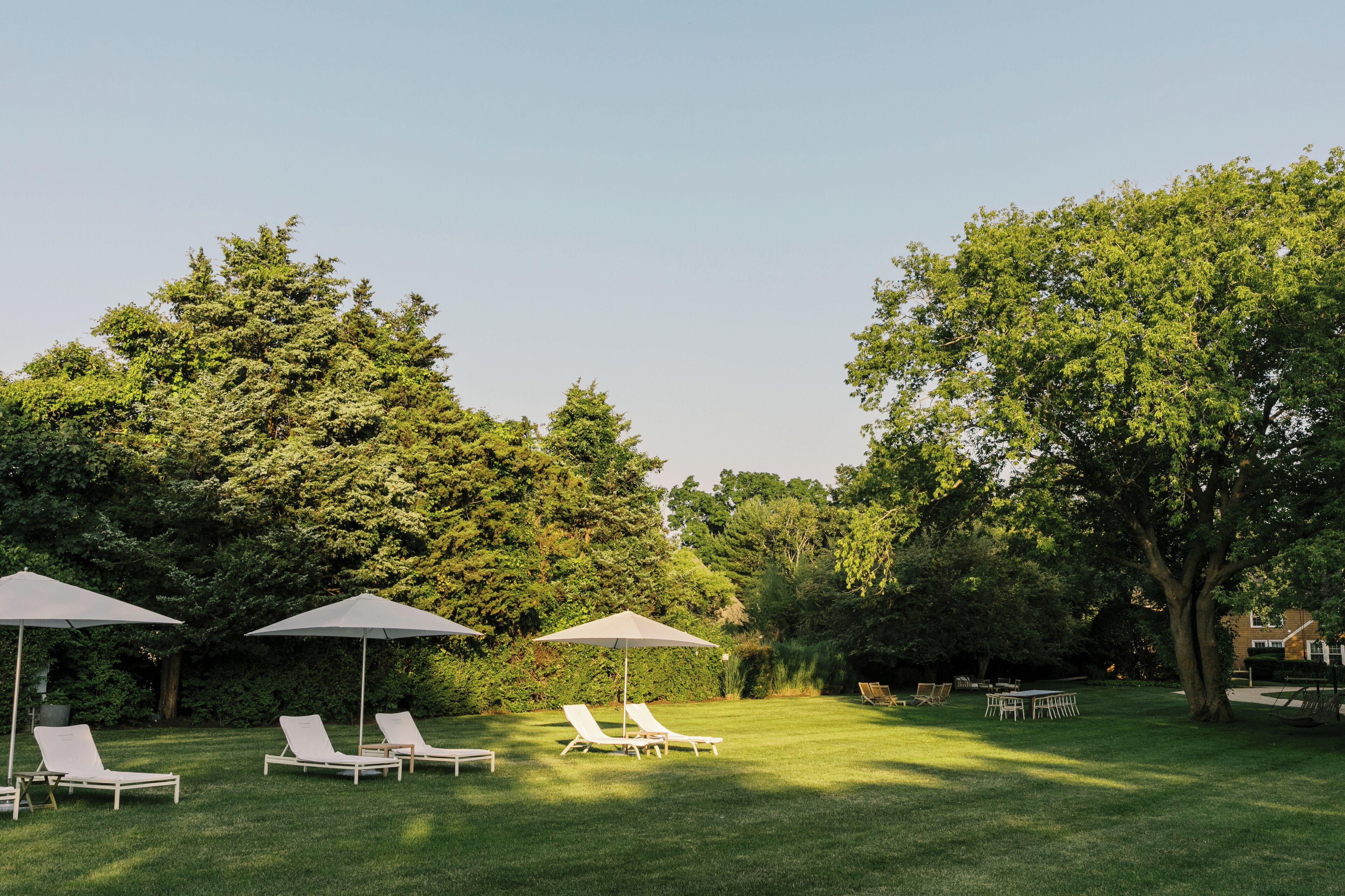 A well-maintained lawn with lounge chairs and umbrellas, surrounded by dense trees.