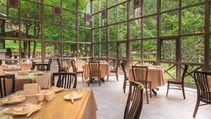 A restaurant with multiple tables and chairs, large windows, and a view of trees. - Mingchih Resort (Datong)