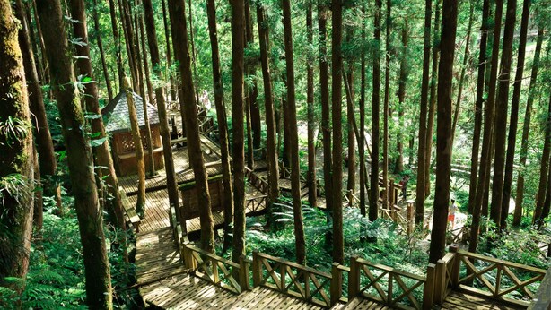A wooden deck in a forest with a small cabin. - Mingchih Resort (Datong)