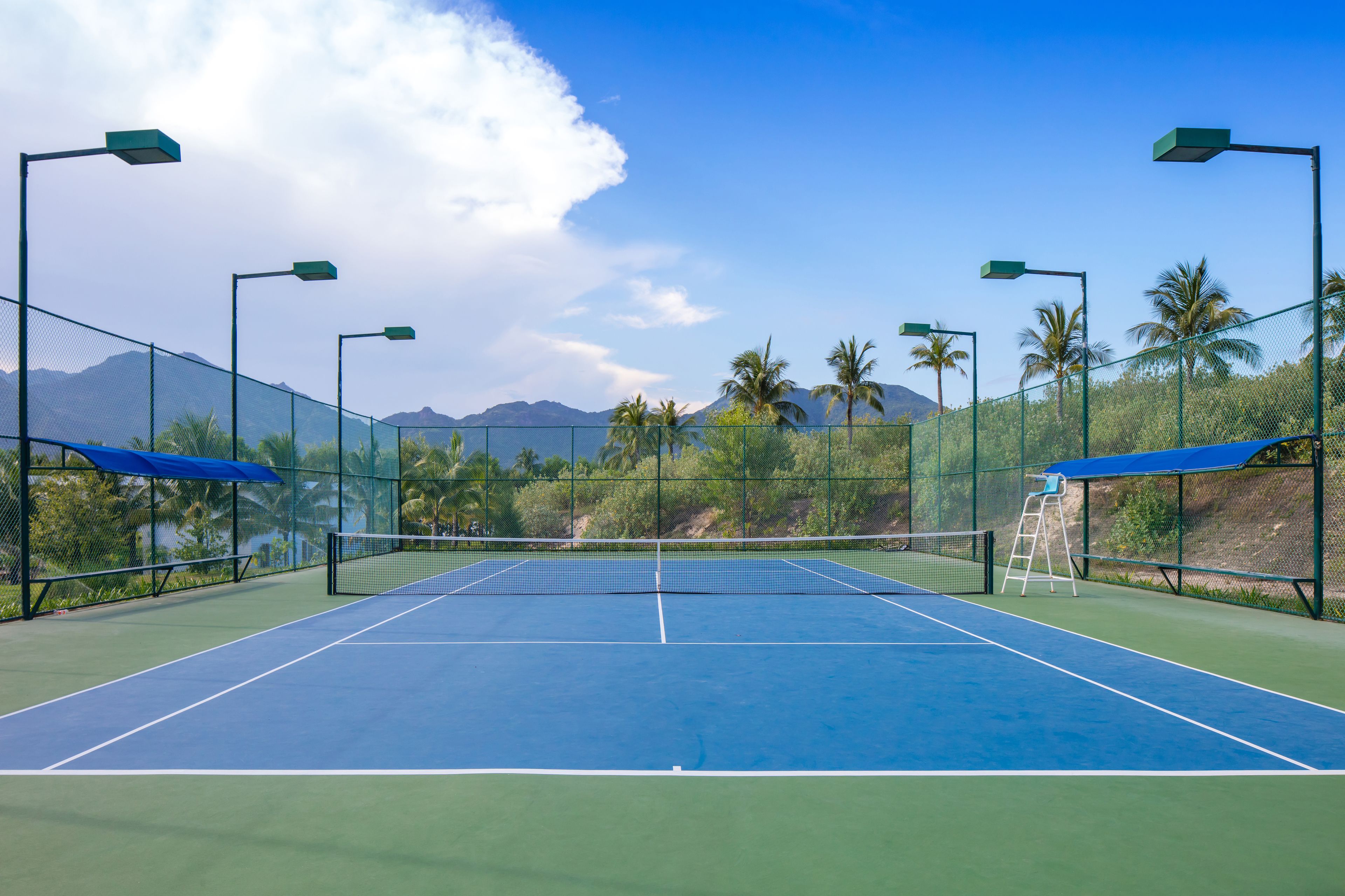 Un court de tennis avec un filet, entouré d’une clôture, et des palmiers en arrière-plan.