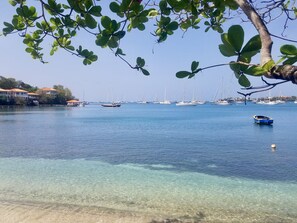 Escena costera con agua cristalina, barcos y un árbol de hojas verdes.