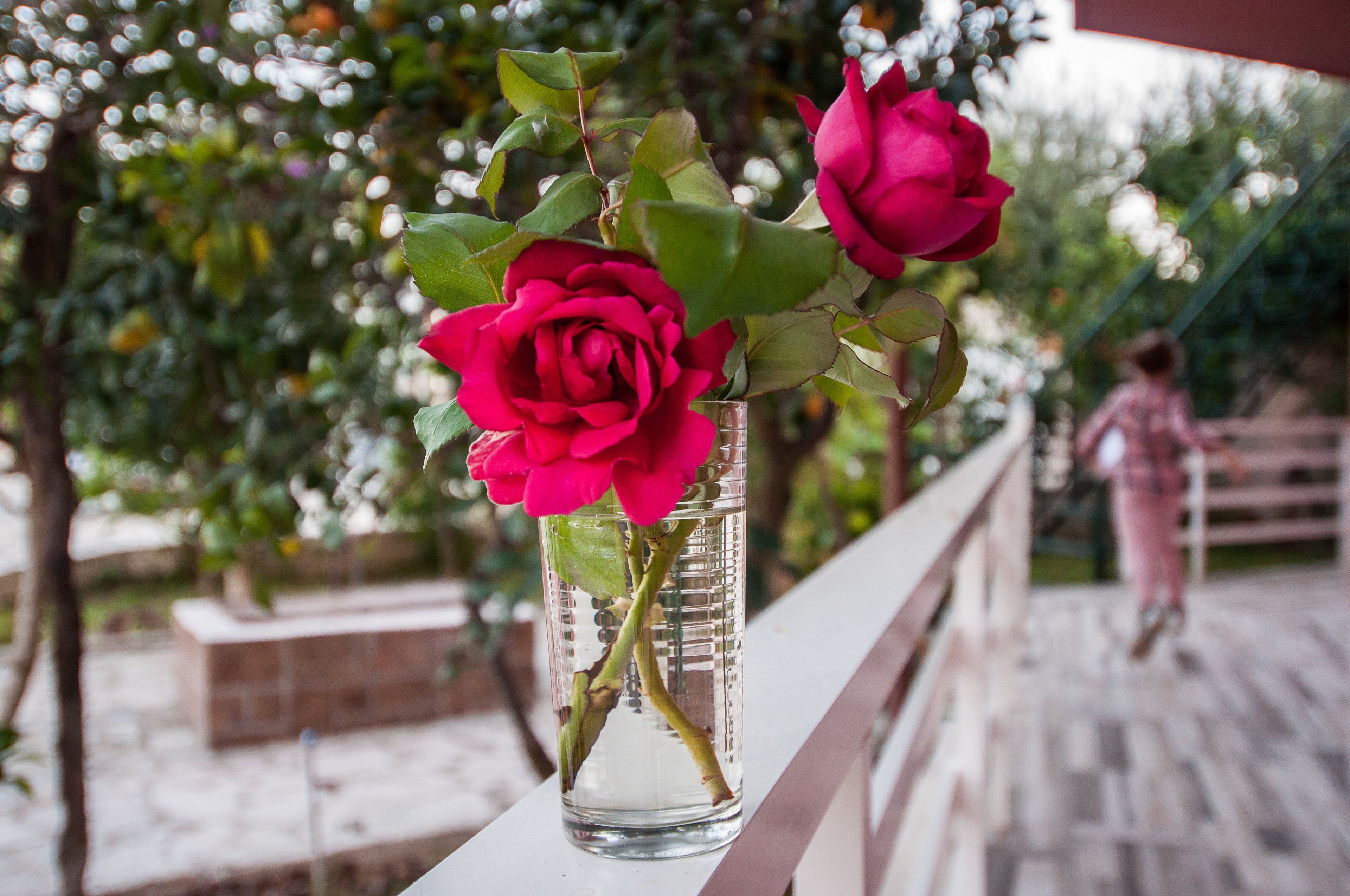 Un vase en verre contenant des roses, posé sur la rambarde d’un balcon.