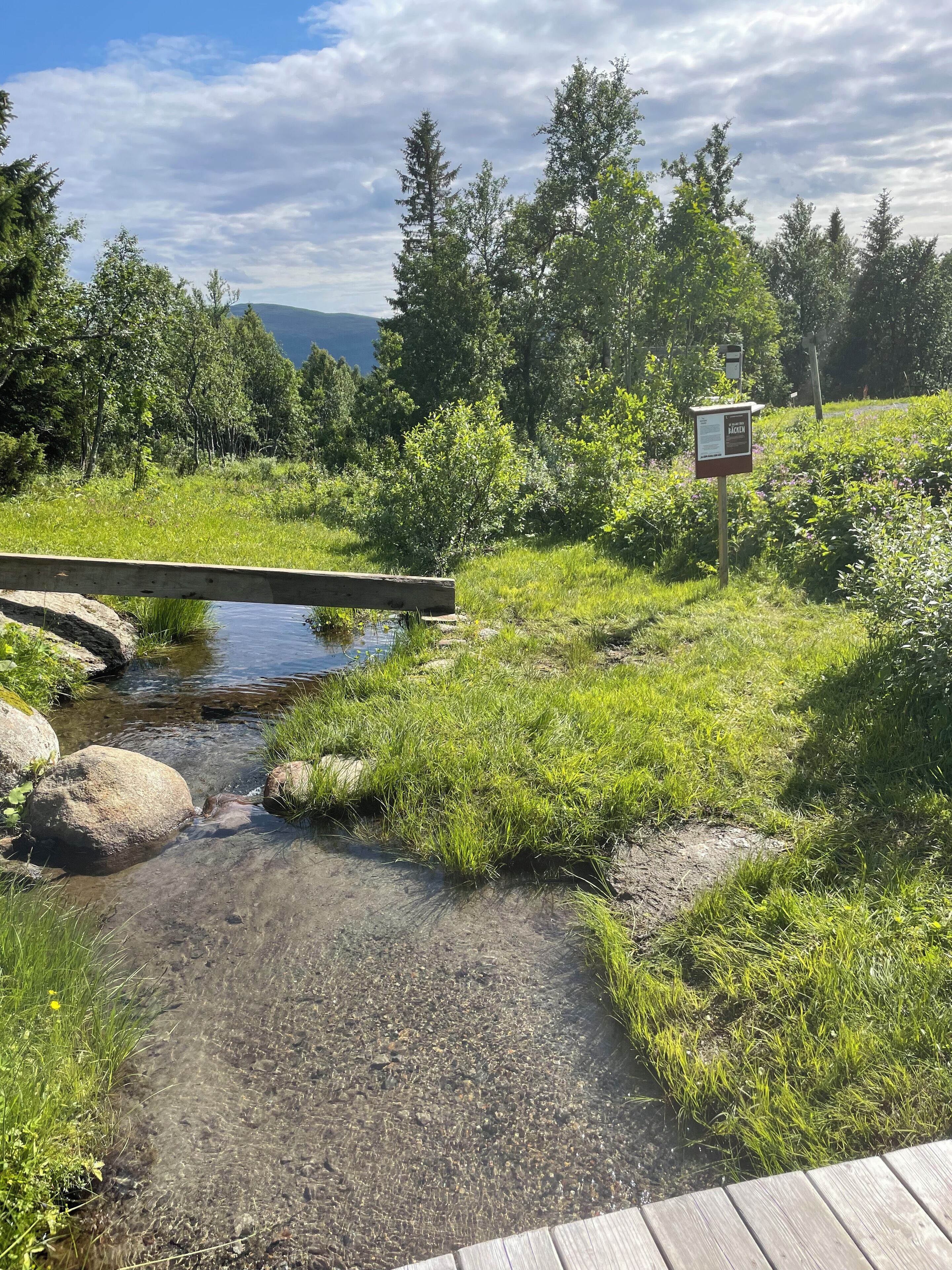 children’s activities