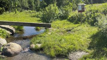 Un puente de madera cruzando un arroyo cristalino, rodeado de abundante vegetación y árboles.