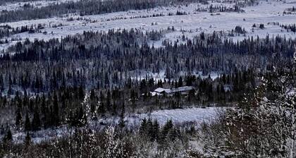 Buustamons Fjällgård