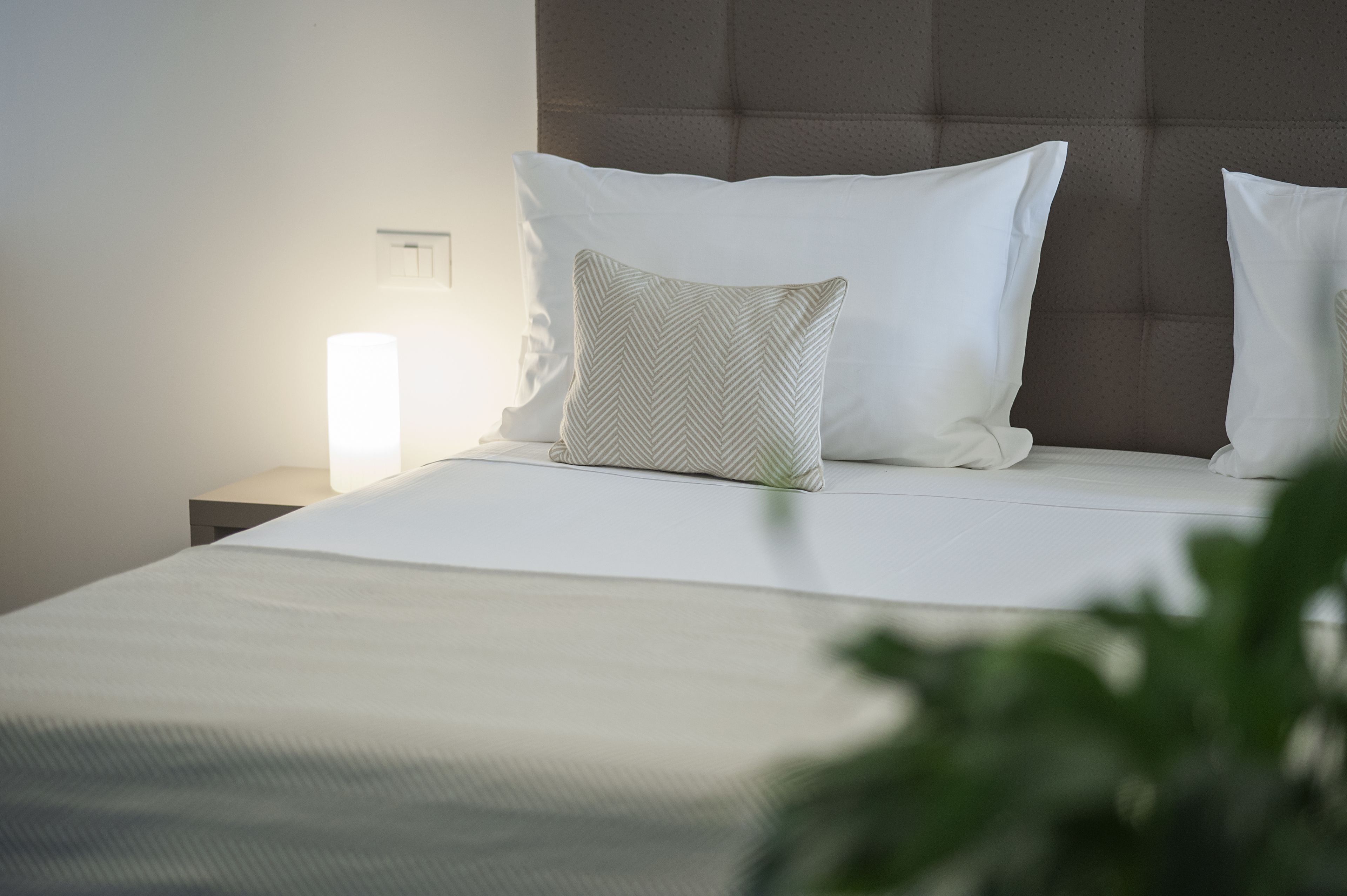 Una cama bien hecha con sábanas blancas y un cojín estampado, una lámpara de noche y un cabecero.