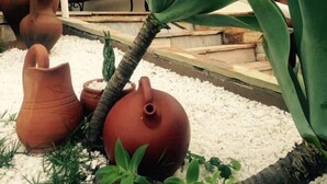 A garden area with terracotta pots, a palm tree, and a bench. - Pousada Luak (Lagoa Santa)