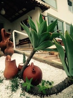 Un jardín con macetas de terracota, una palmera y un banco.