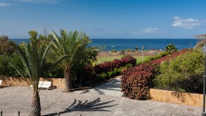 A paved pathway leading to a scenic view of the ocean, with palm trees and red-leaved shrubs along the sides. - Charco del Conde (Valle Gran Rey)