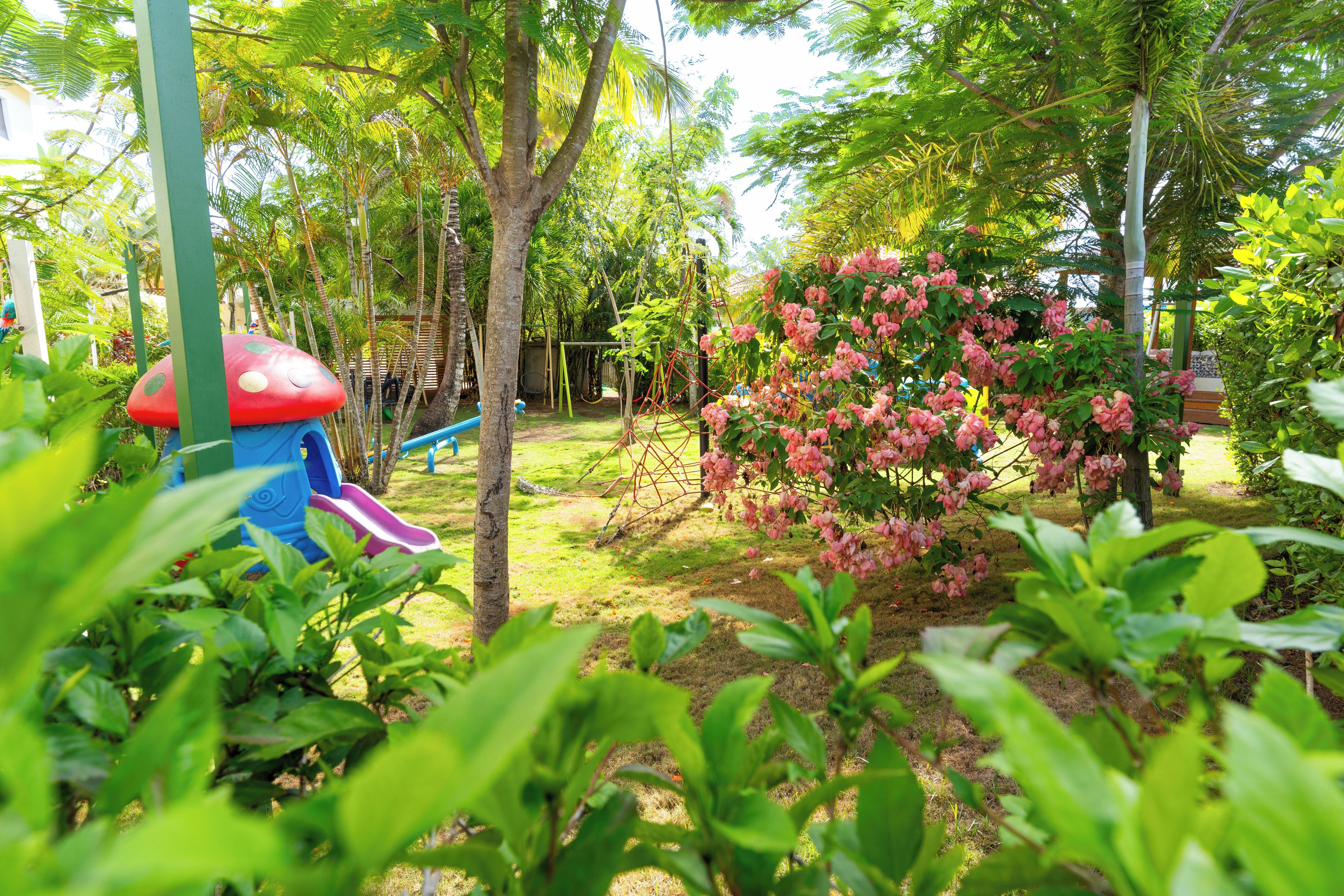 Foto - Soficu Eden Dominicus