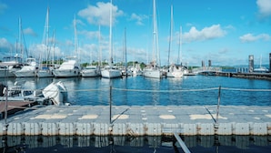 Un puerto deportivo con varios veleros amarrados a un muelle.