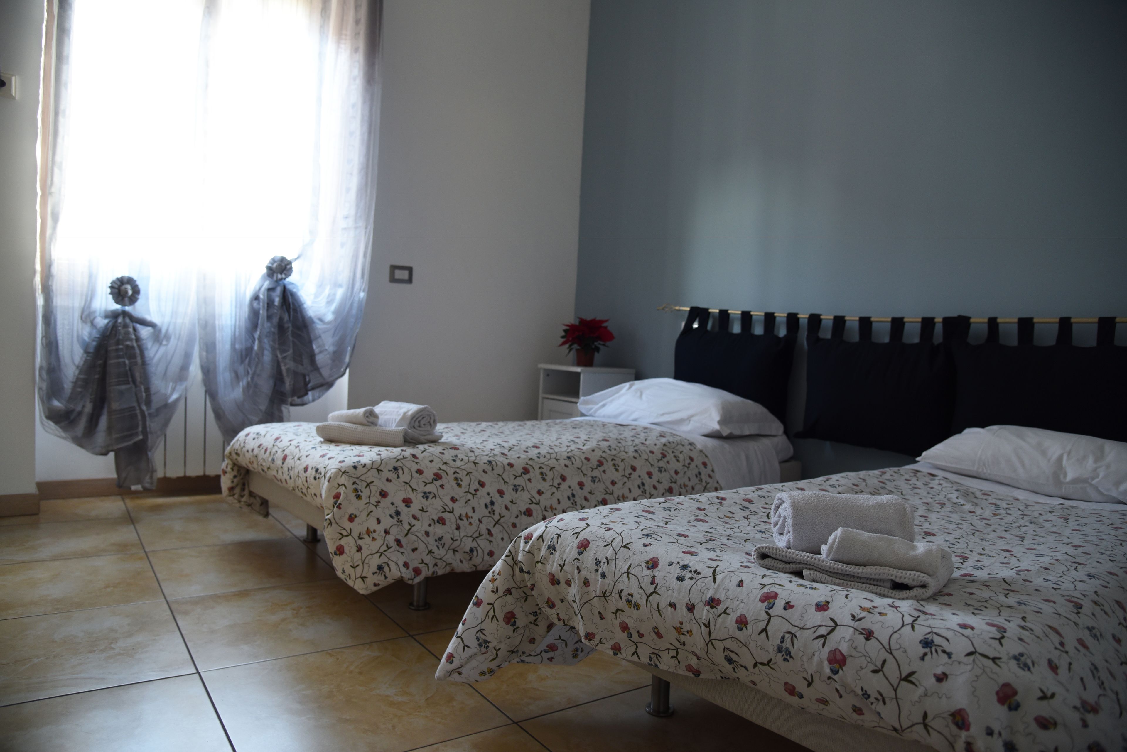 A hotel room with two beds, a nightstand, a potted plant, and a window with sheer curtains.
