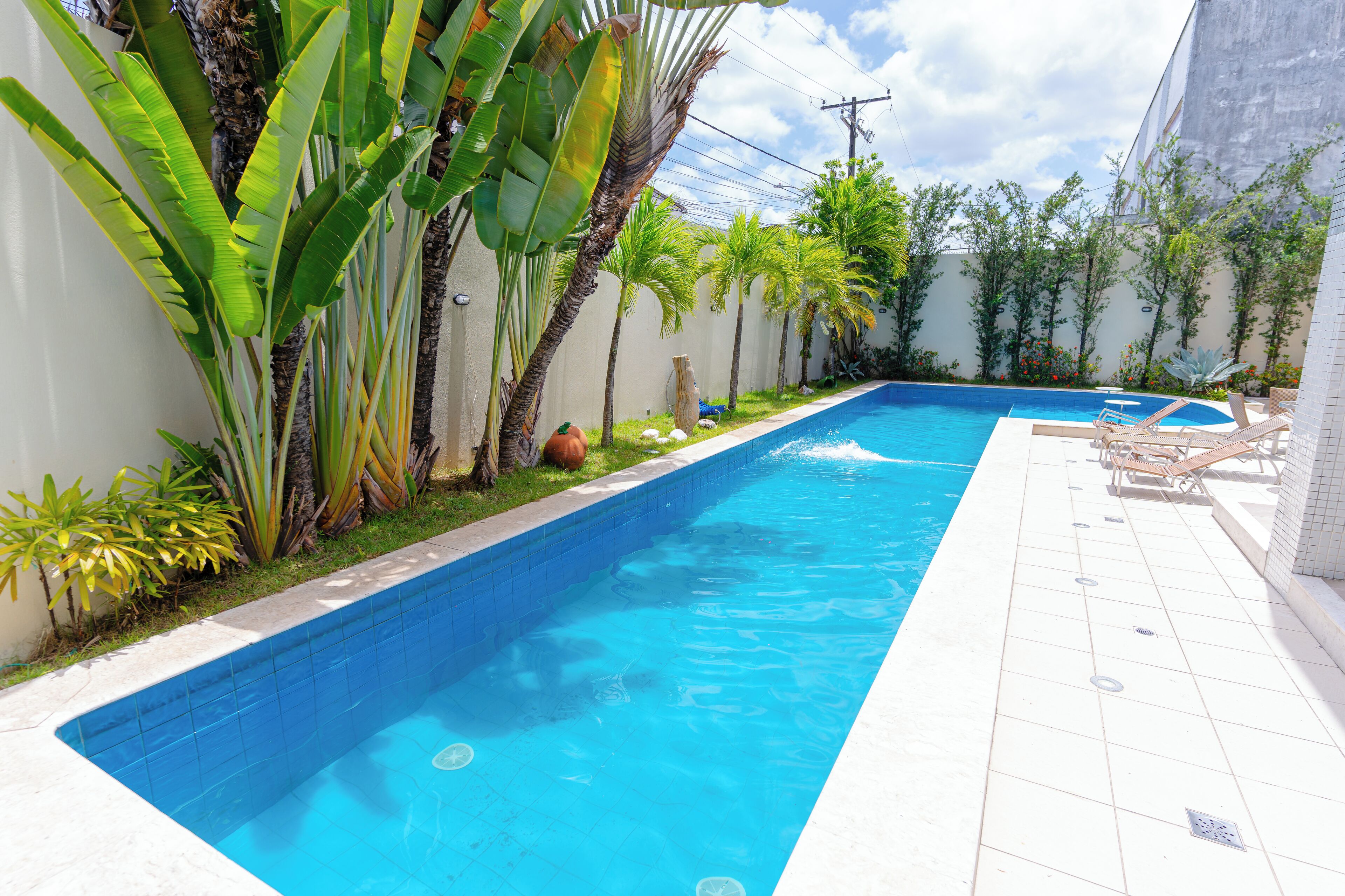 Une piscine rectangulaire dont les bords sont recouverts de carreaux, entourée de plantes tropicales et de palmiers.