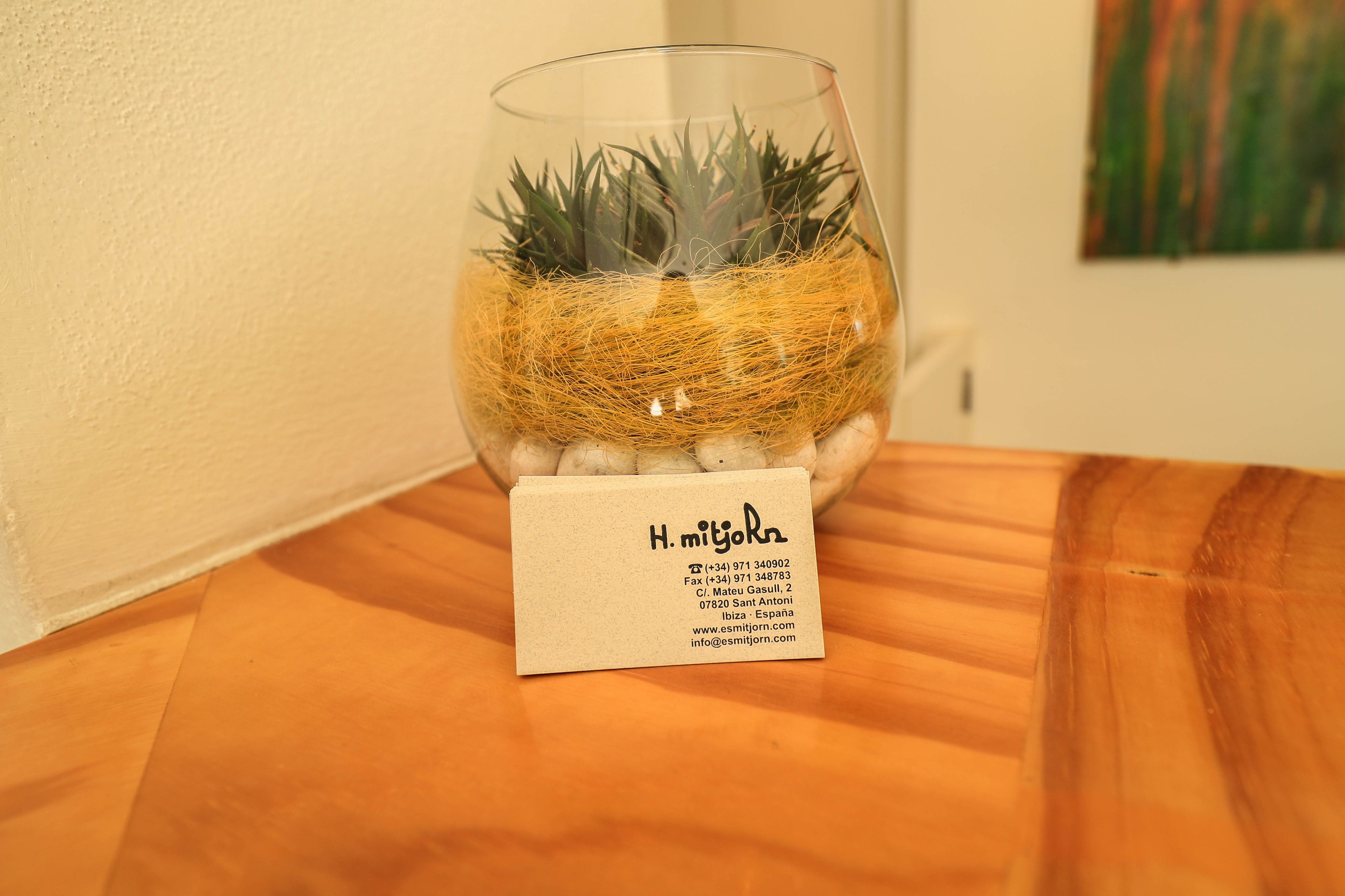 Foto - Es Mitjorn Hotel