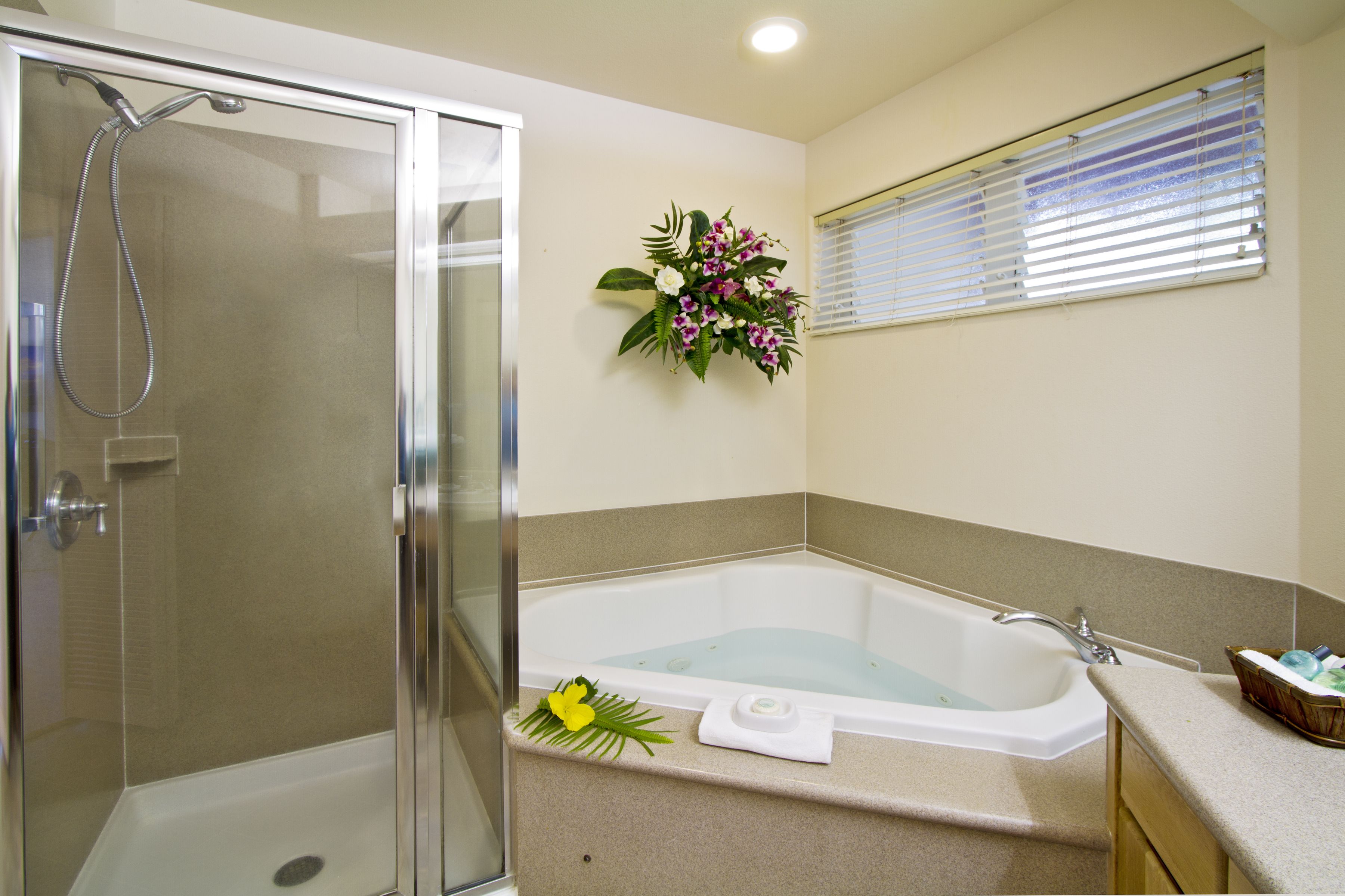 suite, 2 bedrooms | deep-soaking bathtub