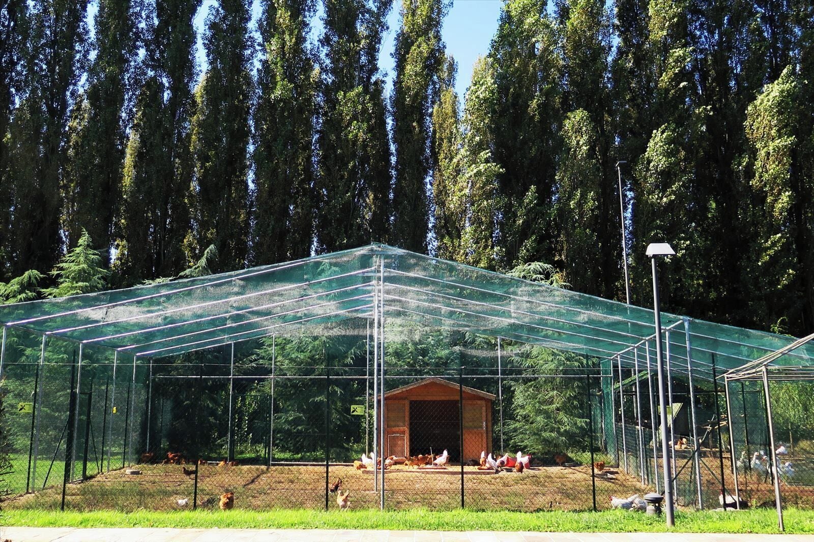 Ein Gewächshaus mit Glasdach, umgeben von einem Metallzaun, und ein kleines Holgebäude in der Mitte.