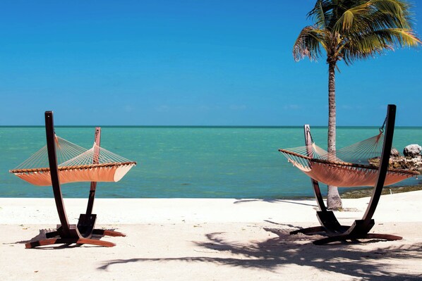 位於海灘上、海灘小屋、躺椅