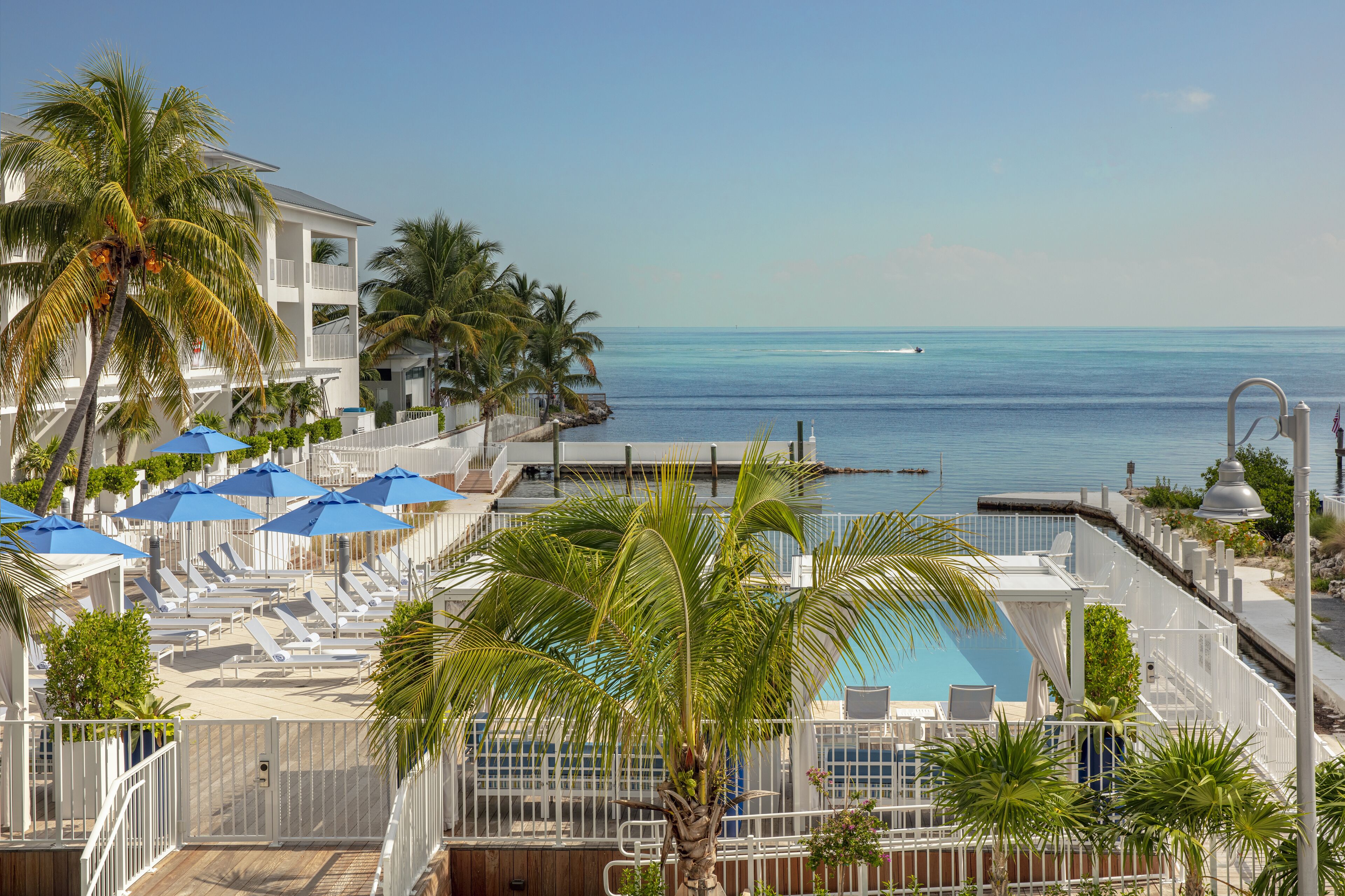 Un complexe hôtelier doté d’une piscine, de chaises longues et de palmiers.