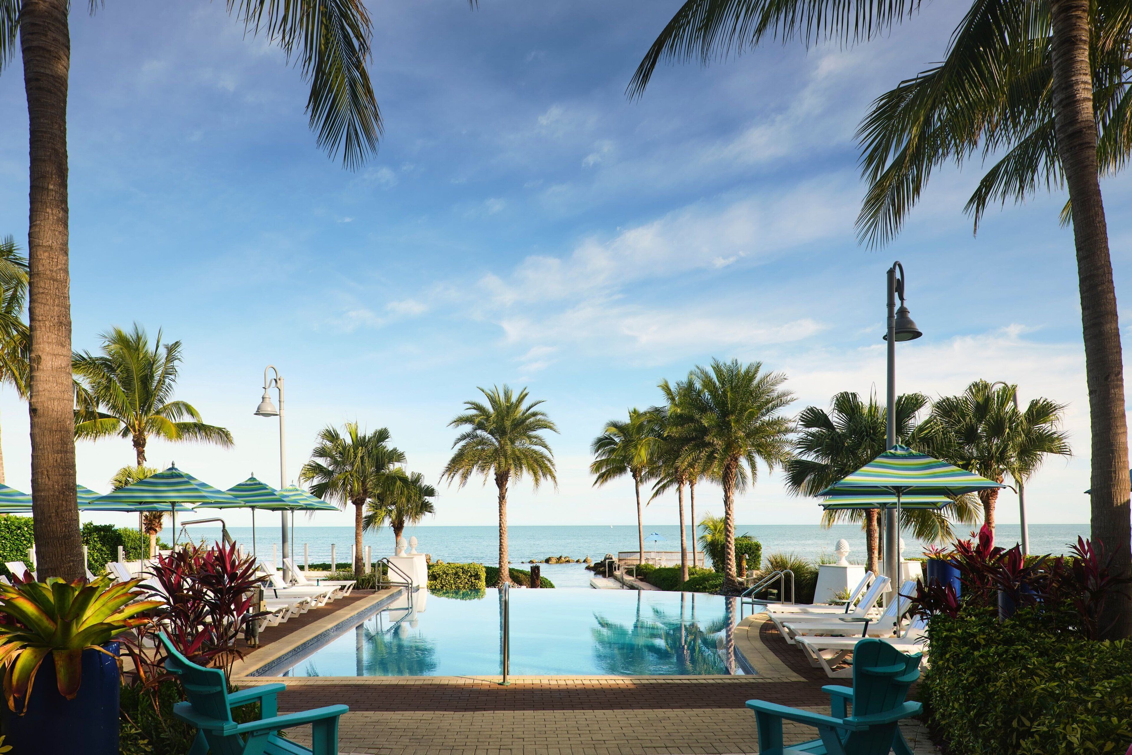 A pool area with lounge chairs and umbrellas, palm trees, and a view of the ocean.