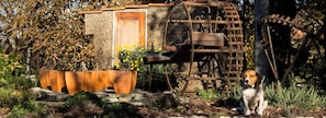 A rustic watermill with a wooden door, surrounded by potted plants and a dog. - Laranjalimao Guest House (Ponte de Lima)