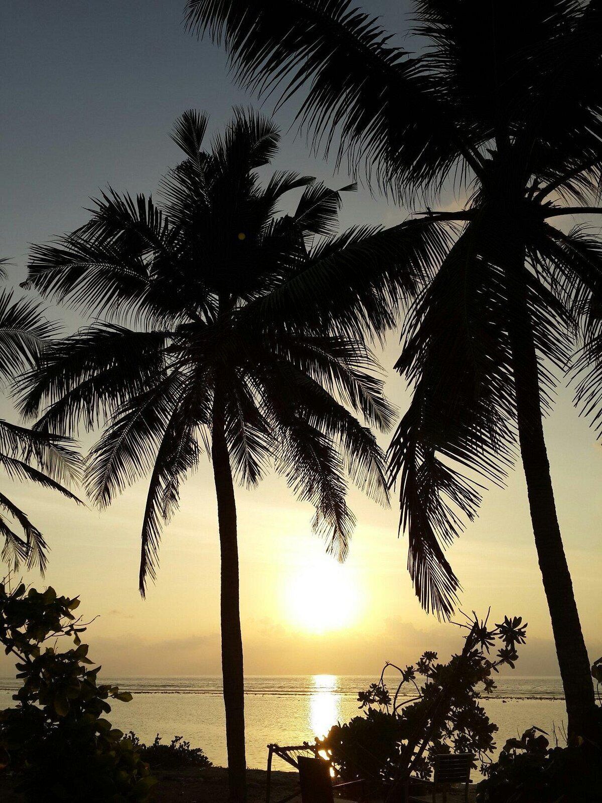 A beach scene with palm trees silhouetted against a sunset, a clear sky, and the ocean in the background.