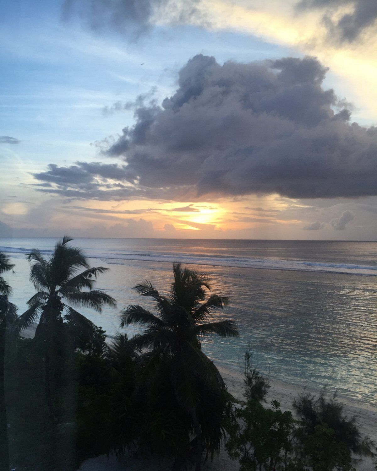 Pôr do sol sobre o oceano, com palmeiras em primeiro plano.
