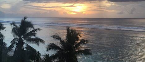 Pôr do sol sobre o oceano, com palmeiras em primeiro plano.