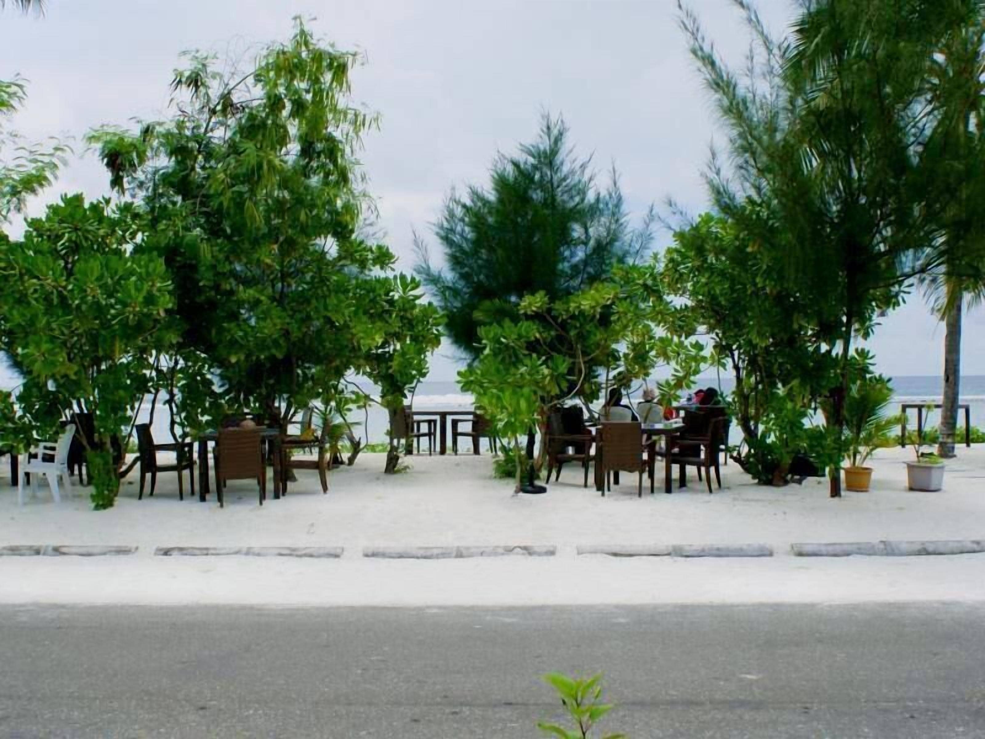 An outdoor seating area with tables and chairs, surrounded by trees, overlooking a body of water.