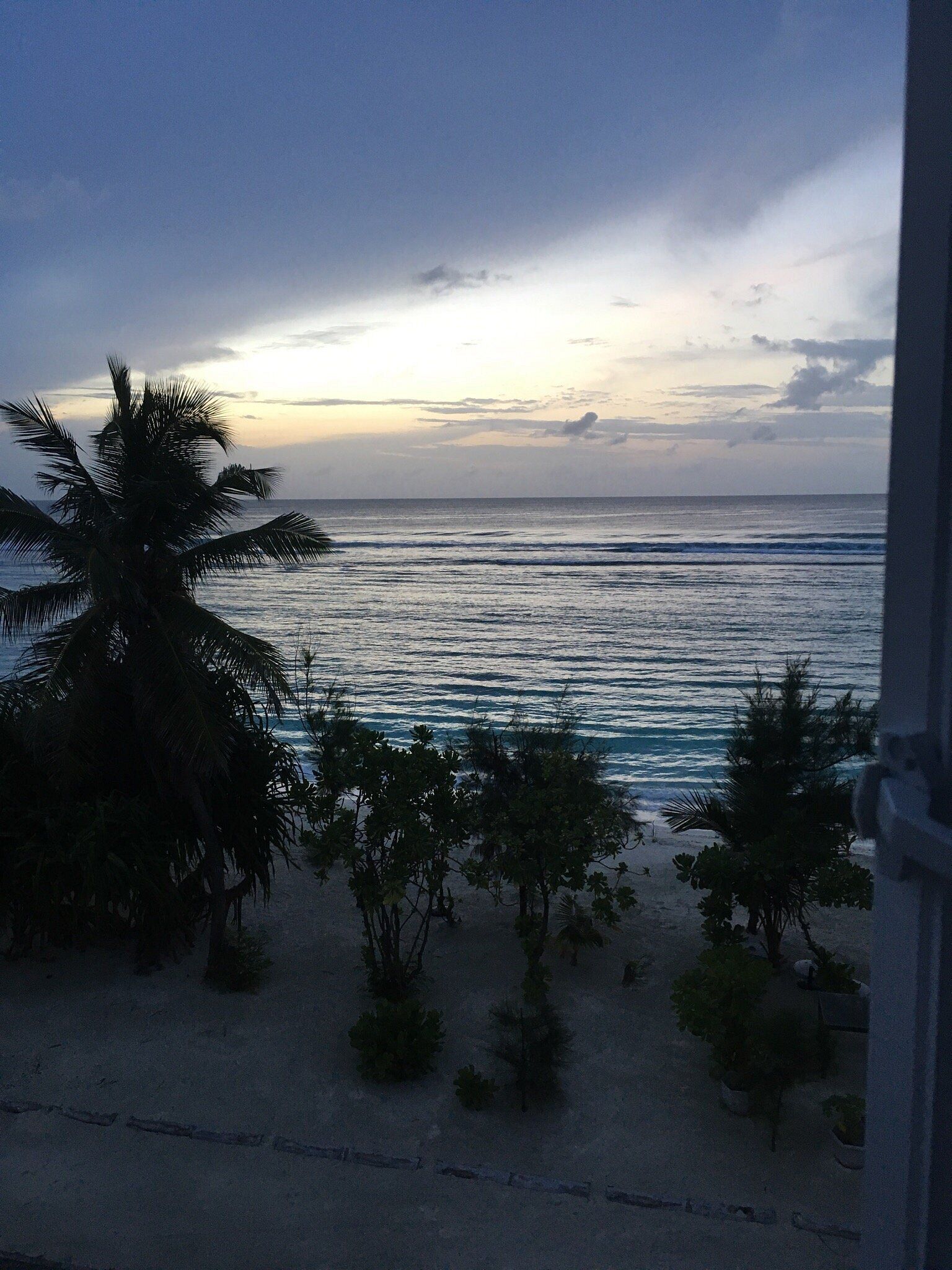 Vista de playa con palmeras y cielo despejado.