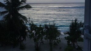 A beach view with palm trees and a clear sky.