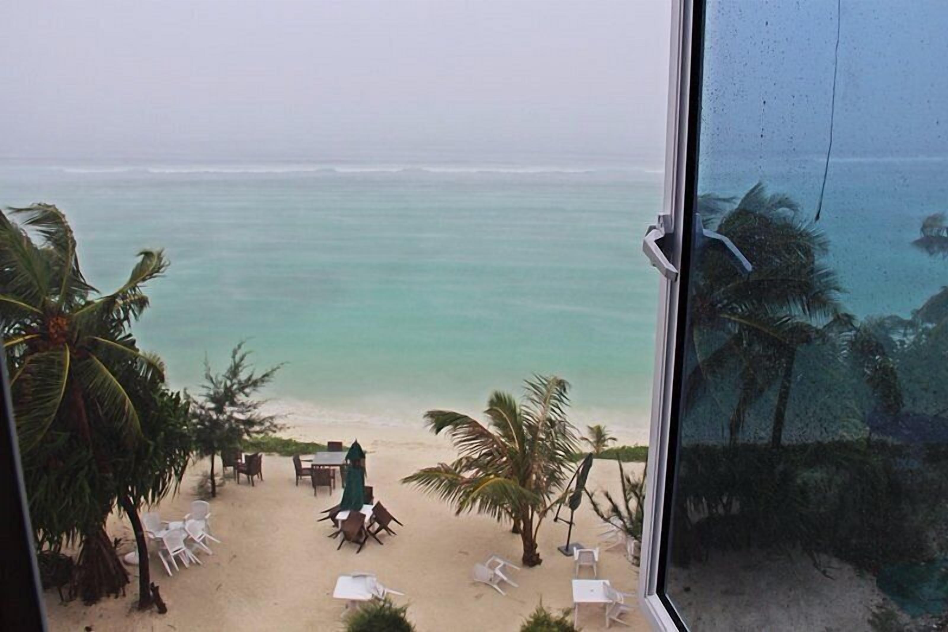 A beach view with a table and chairs, palm trees, and a clear view of the ocean.