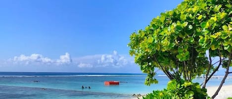 A beach with clear turquoise water, a sandy shore, and a tree providing shade.