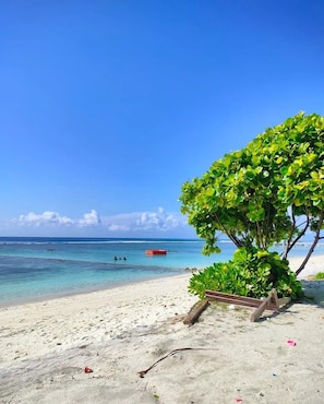 Una playa con agua turquesa cristalina, una orilla arenosa y un árbol que ofrece sombra.