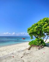 Una playa con agua turquesa cristalina, una orilla arenosa y un árbol que ofrece sombra.