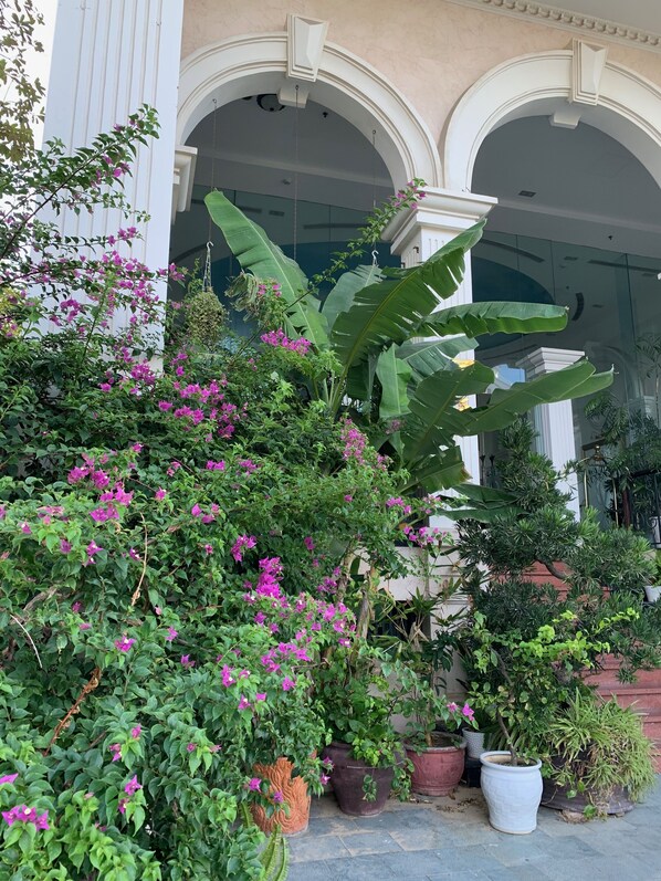 A well-maintained garden with various potted plants and flowering shrubs in front of a building with classical architecture.