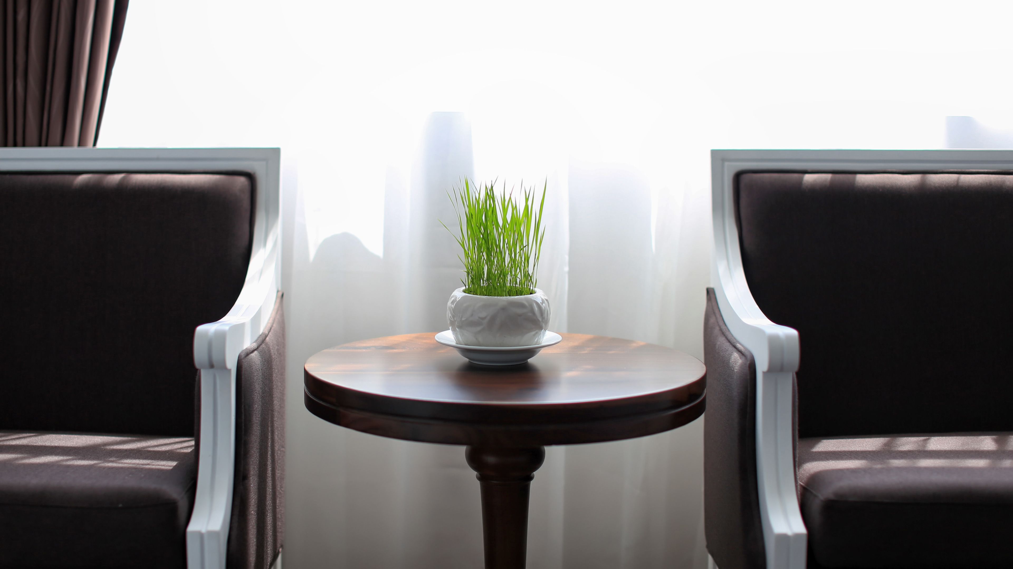 A small round table with a white ceramic pot containing green grass, flanked by two brown upholstered chairs with white trim, positioned near a window with curtains.