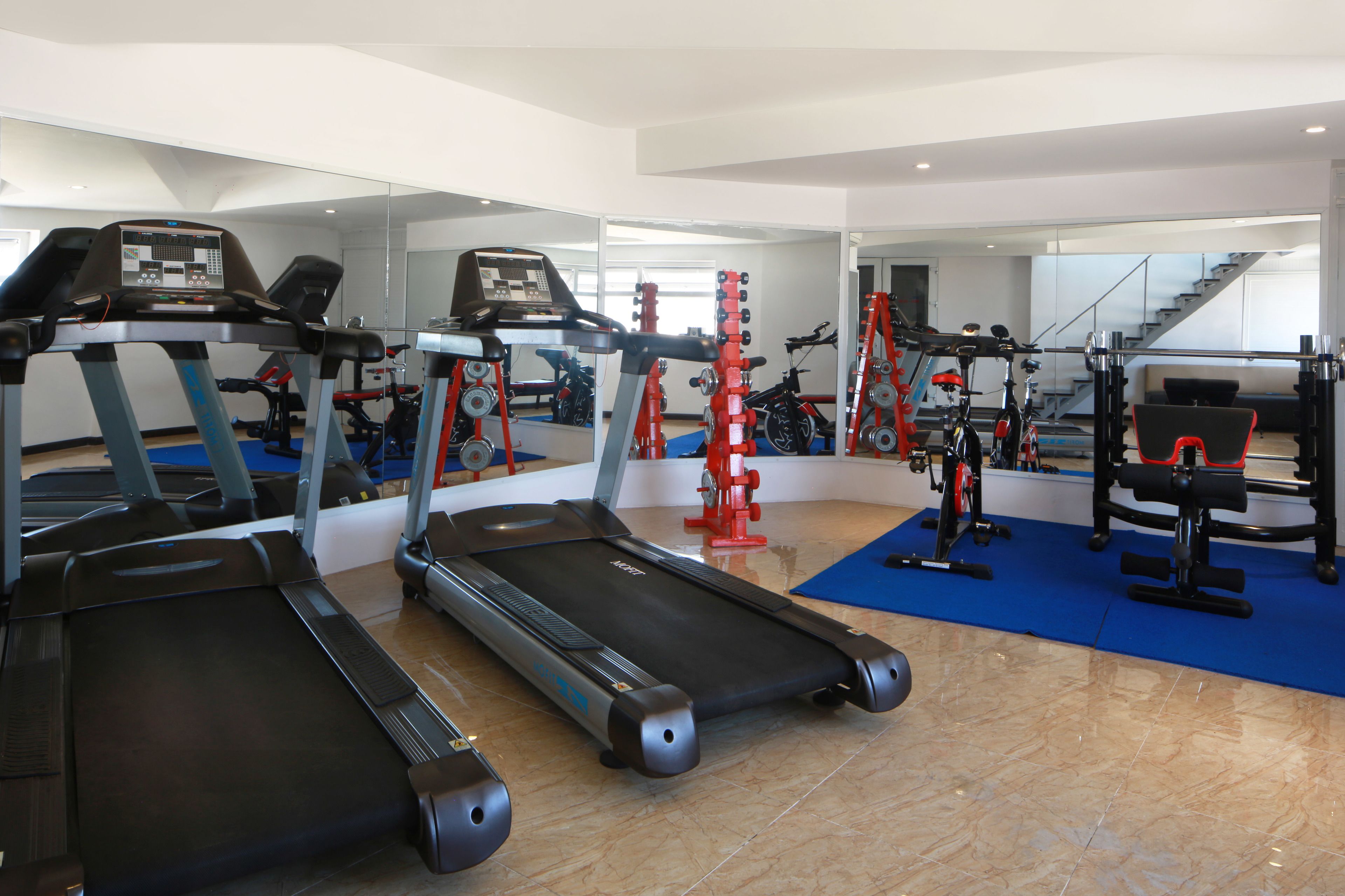A gym with treadmills, stationary bikes, and weight machines.