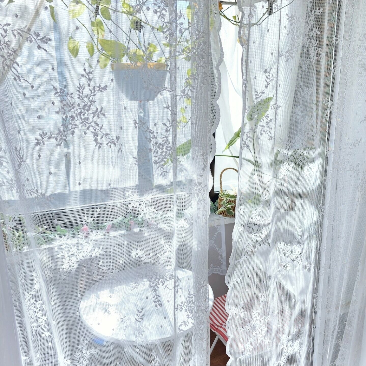 공용 도미토리, 여성 전용 | 테라스/파티오