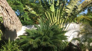 View from property - Liberty Bed & Breakfast (Las Terrenas)