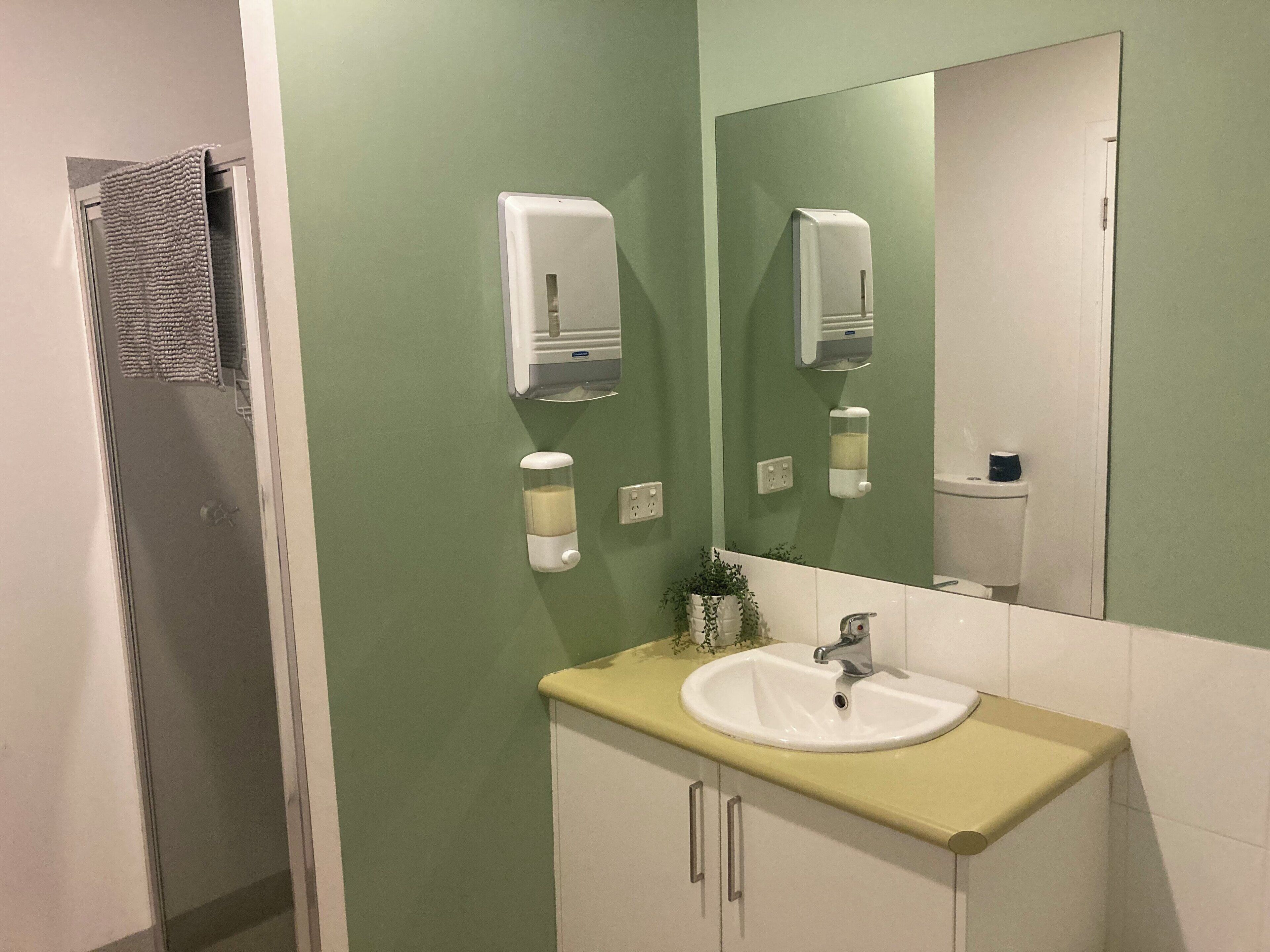Een badkamer met een groene muur, een witte wastafel en een spiegel erboven.