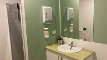 Een badkamer met een groene muur, een witte wastafel en een spiegel erboven.