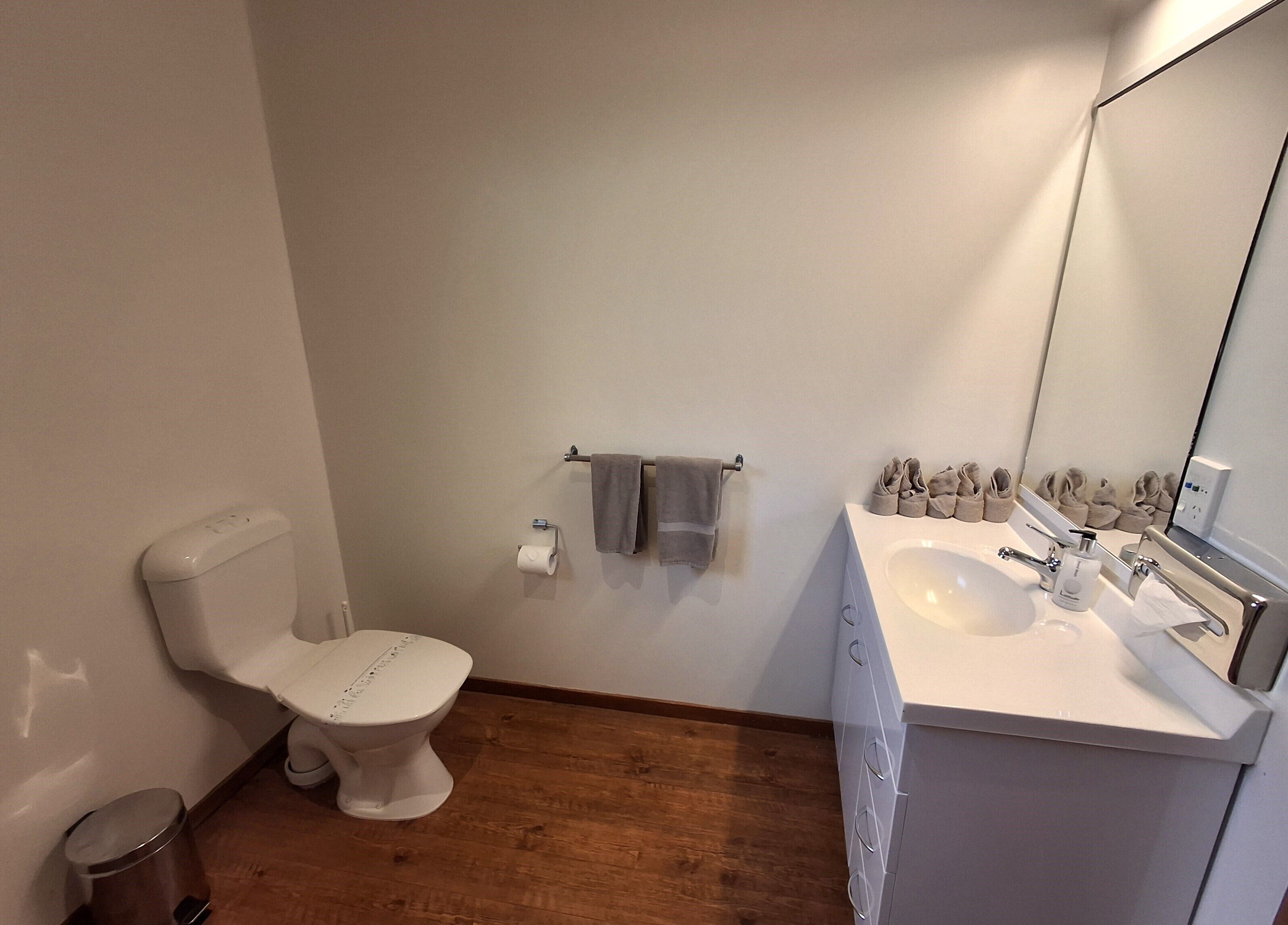 A modern bathroom with a toilet, sink, and mirror.