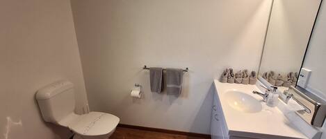 A modern bathroom with a toilet, sink, and mirror.